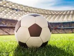 張松踢擊對,手頭部被開,停賽,好博,好博体育,HaoBo,好博体育官网