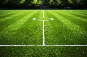 布莱顿海鸥,队横扫切尔,西蓝军,好博,好博体育,HaoBo,好博体育官网