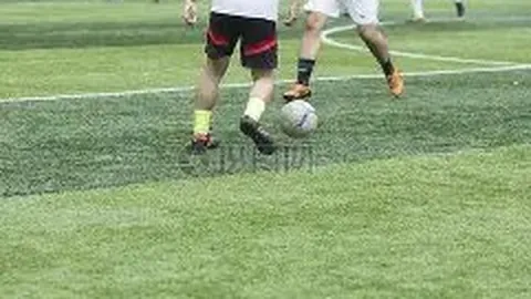 菲利克斯簡介：個人資料全解析