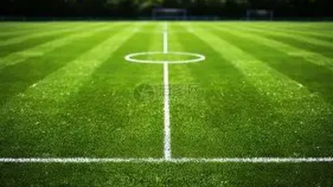 布莱顿海鸥队横扫切尔西蓝军